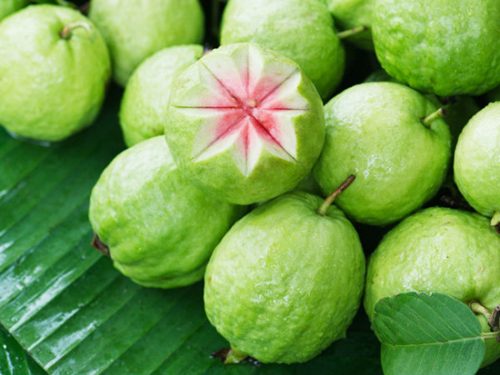 ăn ổi có giảm cân không