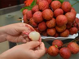ăn nhiều vải có béo không 3