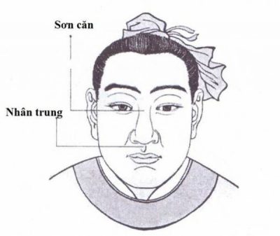 Tướng mũi ảnh hưởng gì đến vận hạn con người?