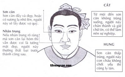 Xem tướng mũi qua Sơn căn và nhân trung