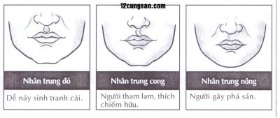 Vị trí của nhân trung ở giữa của khuôn mặt, thuộc Thổ.