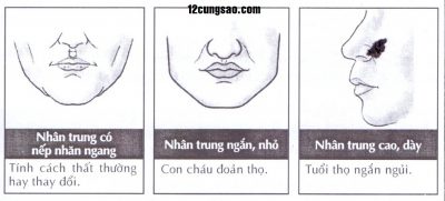 Nhân trung xuất hiện sắc xanh: Tin vui sắp gõ cửa trong 10 ngày tới. Nguồn ảnh: 12cungsao.com