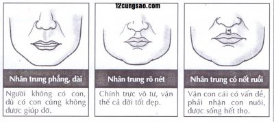 Nhân trung rộng và bằng: Vận con cái không tốt. Nguồn ảnh: 12cungsao.com